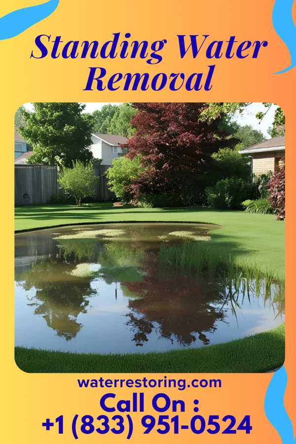 Standing Water Removal in Youngstown, PA